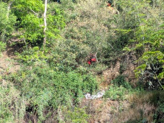 Daisy trapped on a cliff edge surrounded by dense vegitation being rescued by specialist firefighters