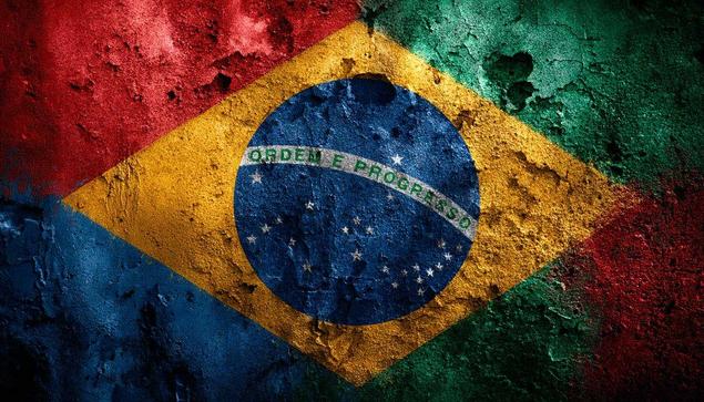 brazil google flag