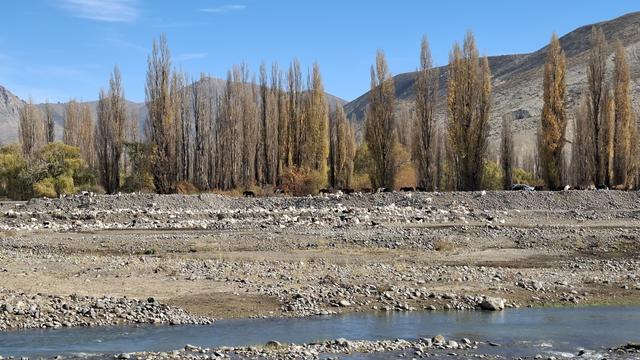 Rio Curi Leuvú