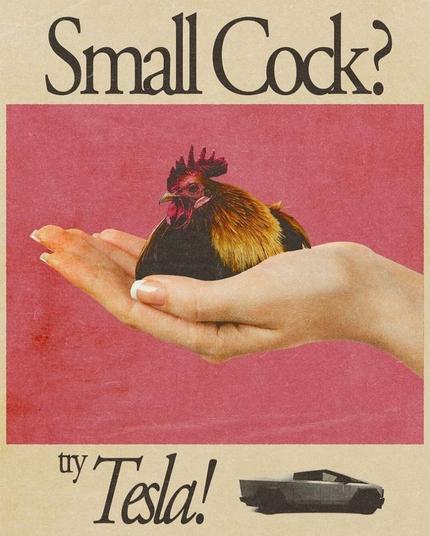 An advertisement in two pictures. 
Text: Small Cock. Then a woman's hand holds a small rooster (cock). 

Text: Try Tesla! with a small photo of a Cybertruck.