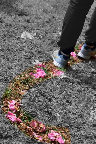 This photo shows a person's legs and feet walking on grass. The foreground has a curved path lined with pink flowers, which is in color, while the rest of the image is in black and white.