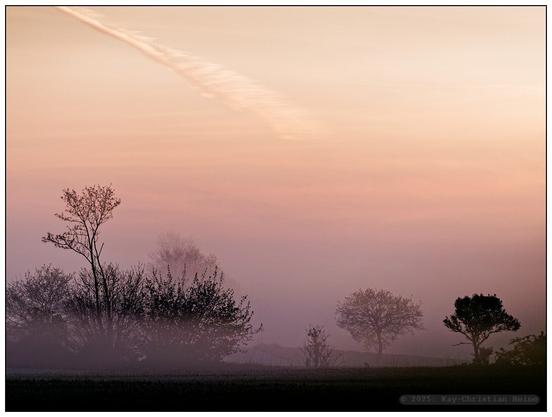 Neblige Landschaft mit vereinzelten Bäumen vor einem rosa-orangen Himmel bei Sonnenaufgang über einer leicht hügeligen Feldlandschaft.