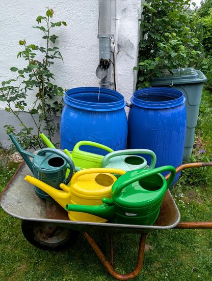Bunte Gießkannen in einer rostigen Schubkarre stehen vor zwei blauen Regentonnen. Aus der Dachrinne fließt Regenwasser in die vordere Tonne. Foto by Johann Seidl, Gartenpoet.

Colorful watering cans sit in a rusty wheelbarrow in front of two blue rain barrels. Rainwater flows from the roof gutter into the front barrel. Photo by Johann Seidl, Gartenpoet.