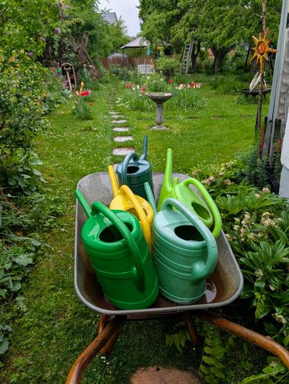 Schubkarre mit bunten Gießkannen in Grün, Gelb und Türkis steht auf einer Wiese im Garten, im Hintergrund ein romantischer Gartenweg mit Trittsteinen, Tulpen, Vogeltränke und Bäumen.
Foto by Johann Seidl, Gartenpoet.


A wheelbarrow filled with colorful watering cans in green, yellow, and turquoise stands on a lawn in a lush garden; in the background, a romantic garden path with stepping stones, tulips, a birdbath, and trees.
Photo by Johann Seidl, Gartenpoet.