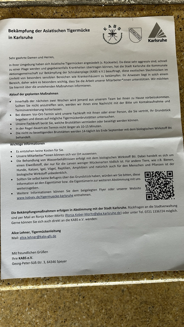 Bekämpfung der Asiatischen Tigermücke in Karlsruhe
"Sehr geehrte Damen und Herren, . in Ihrer Umgebung haben sich Asiatische Tigermticken angesiedelt (s. Rückseite). Da diese sehr aggressiv sind, schnell zu einer Plage werden und gegebenenfalls Krankheiten übertragen können, hat die Stadt Karlsruhe die Kommunale & Aktionsgemeinschaft zur Bekampfung der Schnakenplage (KABS e.V.) beauftragt, diese exotischen Stechmücken im Umfeld von besonders sensiblen Bereichen wie Krankenhäusern zu bekämpfen. Ihr Anwesen liegt in solch einem Bereich, daher ware es. besonders wichtig, dass Sie die Arbeit unserer. Mitarbeiter*innen unterstützen. Wir möchten Sie hiermit über die anstehenden Maßnahmen informieren.
Innerhalb der nichsten zwei Wochen wird jemand aus unserem Team bei Ihnen zu Hause vorbeizukommen. Sollten Sie nicht anzutreffen sein, werden wir Ihnen eine Nachricht mit der Bitte um Kontaktaufnahme und Terminvereinbarung hinterlassen.
Bei diesem Vor-Ort-Termin wird unsere Fachkraft mit lhnen oder einer Person, die Sie vertritt, Ihr Grundstück begehen und dieses auf mögliche Tigermückenbrutstätten untersuchen. Unsere Fachkraft berät Sie, welche Brutstätten vermieden oder beseitigt werden können. In der Regel dauert ein Termin nicht länger als 10-15 Minuten.