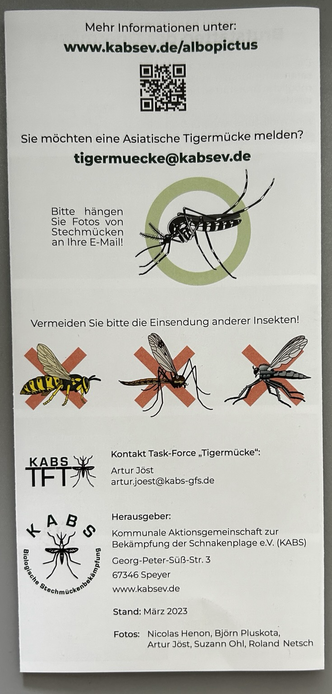 Flyer der Task-Force "Tigermücke" der Kommunalen Aktionsgemeinschaft zur Bekämpfung der Schnakenplage eV.