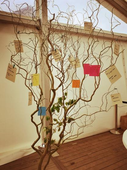 Zu sehen ist ein symbolischer Baum mit gewundenen Zweigen. Daran hängen mit Bindfäden befestigte Zettel