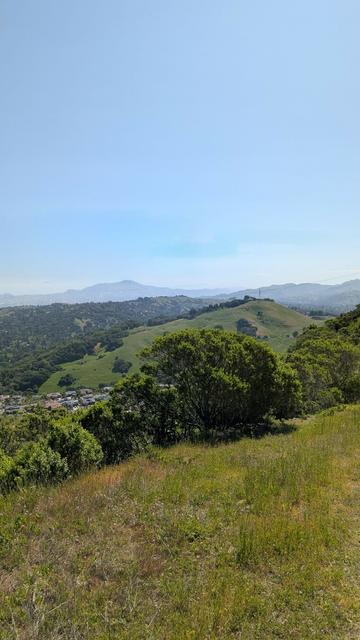 Mount Diablo in the distance, green hills, blue sky