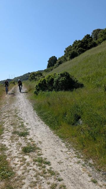 Two bicycle riders descending a dirt road, green hills, blue sky