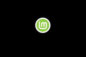 White and green Linux Mint logo on a black background