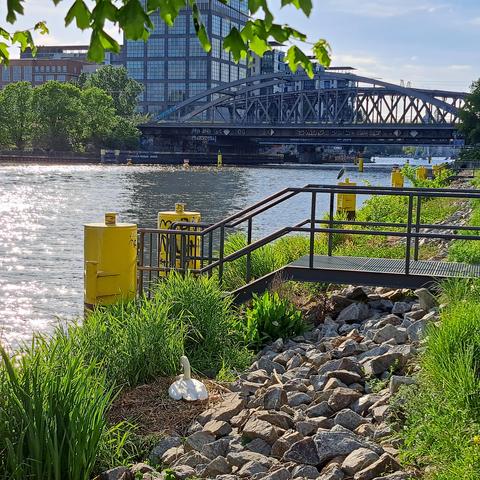 Das Umfeld vom Nest zeigt die Elsenbrücke und die Treptowers im Hintergrund