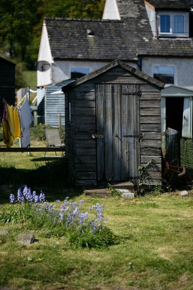 An old wooden garden shed sits on a lawn in front of a cottage, with a patch of bluebells blooming in the foreground and laundry hanging to the left.
