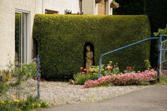A neatly trimmed hedge with a small niche carved into it, sheltering a stone statue of a woman. Tulips and pink flowers bloom at the hedge base beside a pebbled path.