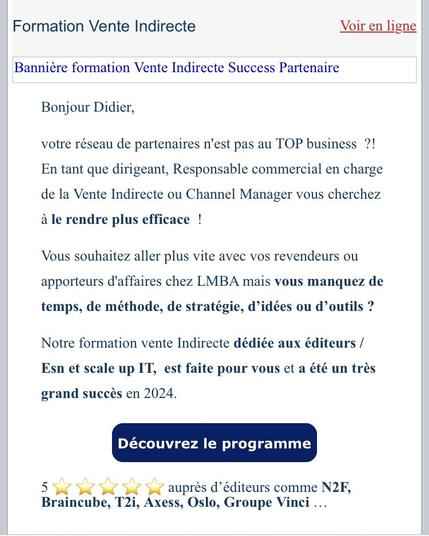 Capture d’écran d’un mail envoyé à Didier. Il est écrit : « votre réseau partenaire n’est pas au TOP business ?! En tant que dirigeant responsable commercial en charge de la vente indirecte ou Channel manager vous cherchez à le rendre plus efficace » puis cela continue dans la même veine novlangue qui n’a aucun sens