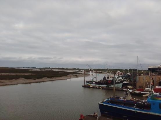 A less windy more overcast sort of sky compadtto yesterday's. With some breaks in the cloud giving occasional short spells of sunshine.