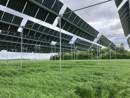 Eine Photovoltaik Anlage auf hohen Stelzen über einem mit grünem Gras bewachsenen Acker
