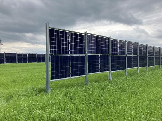 Eine Wand aus Photovoltaik Modulen steht senkrecht in einem Feld mit grünem Gras