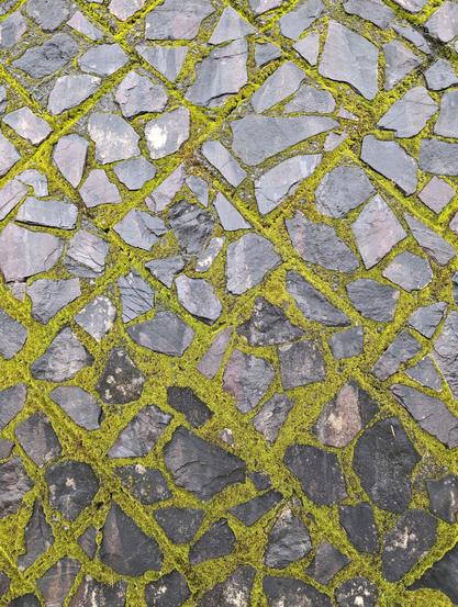 A black stone floor surrounded by moss in-between the rocks.
