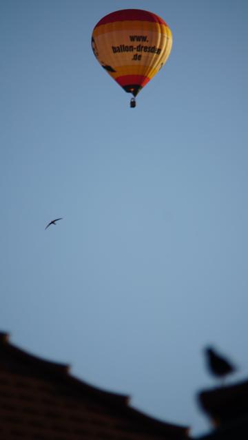 Ballon und Schwalbe 
Unscharfe Amsel sitzt auch da