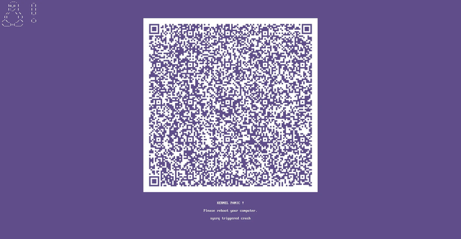 Picture from https://www.phoronix.com/news/Linux-DRM-Panic-QR-Codes that shows a QR Code that features the new DRM Panic screen thats introduced with the new version.