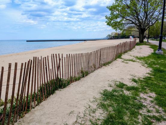 A beach area with wooden fence and trees