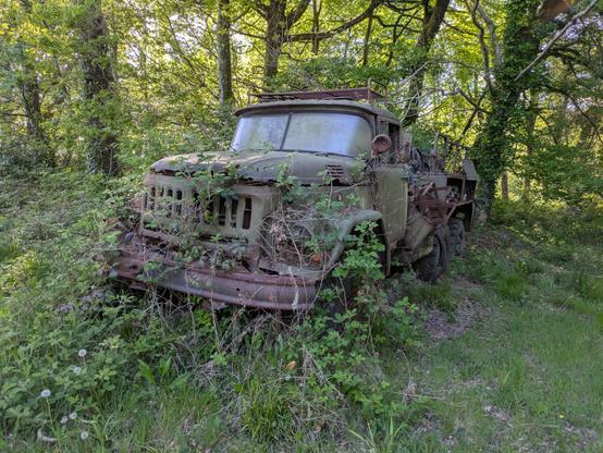 old truck, overgrown in forest