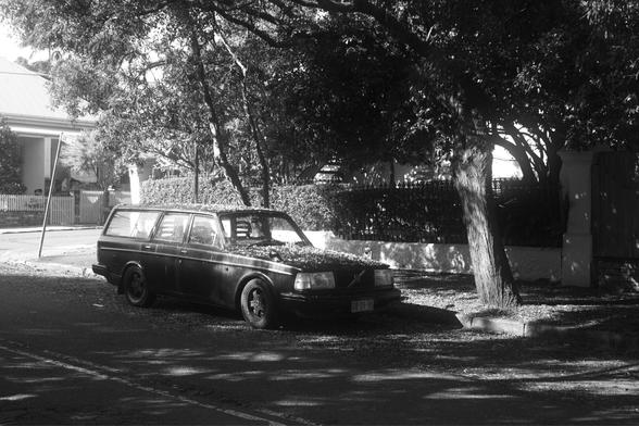 A Volvo station wagon parked in the edge of some shade, absolutely covered in leaves. It is just touched by the sunlight and the rest of the shot spills into darkness.