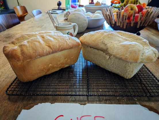 Two loaves of sliceable sandwich bread, baked in traditional loaf pans. Their tops have been split in the middle with a knife. The image is heavily filtered in the style of Instagram.