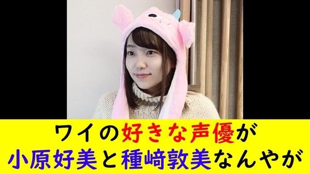 ワイの好きな声優が小原好美と種﨑敦美なんやが