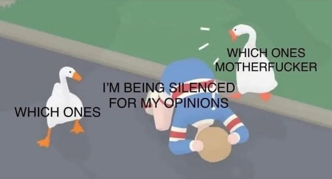 Image of a human being bullied by two geese:

Human cowarring: "I'm being silenced for my opinions"

Goose 1: Which ones?

Goose 2: Which ones motherfucker?!