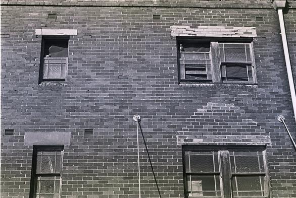 Several pigeons nest in shuttered up windows on the side of an old terrace building.