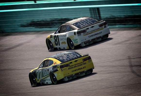 Simulated NASCAR stock cars on track. Focus on the 81 Chevrolet. White, yellow, and black color scheme. Little Bear Sanctuary the primary sponsor.
