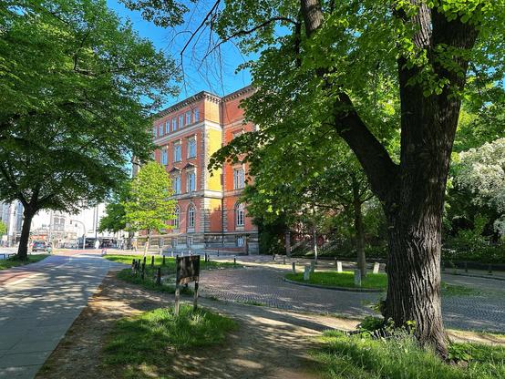 Altbau der Stabi, im Vordergrund: Bäume