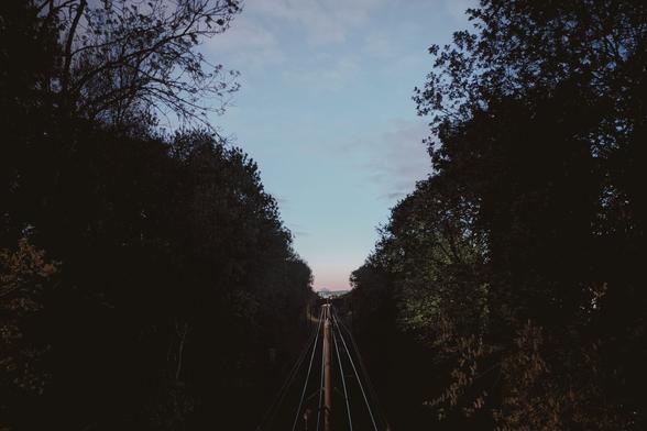 A photo of some tram tracks between trees, taken in the evening.