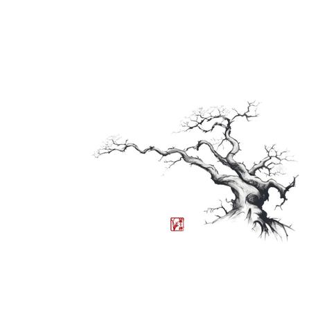 The Skin We Shed 
An artist sat under a bare winter tree, sketching a snake coiled around its roots. His lines were fluid, alive, as though the creature might slither off the page. “What draws you to the Snake?” I asked. “It’s the shedding of the skin,” h