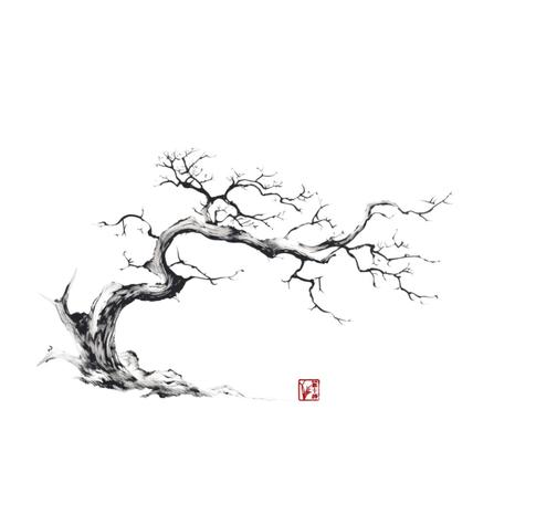 The Wisdom of Stillness 
On a snowy hilltop, I encountered a monk meditating beneath a lone pine tree. Despite the cold, he seemed unbothered, his presence radiating calm. “What are you meditating on?” I asked. “The Snake,” he said simply. He gestured to