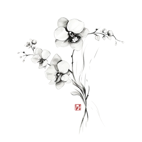 The First Bloom 
The air was still crisp, the ground soft beneath my boots as I walked through a familiar meadow. Winter’s grip had not fully released, but the world seemed to hold its breath for what was to come. There, amidst the pale remnants of frost,