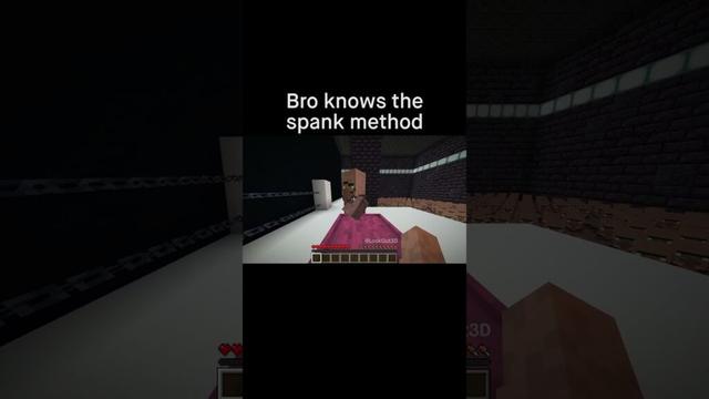 Minecraft Meme