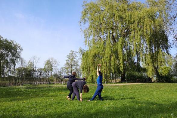 Improvisation on the meadows at the zoo in greifswald