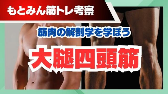 大腿四頭筋　筋トレ解剖学
