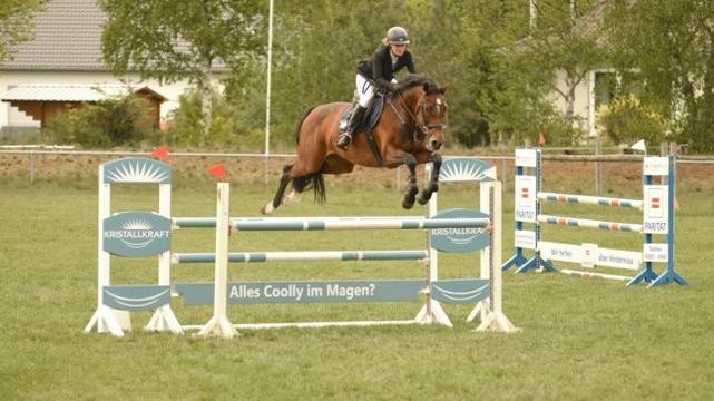 RFV Dannenberg freute sich über eine gute Beteiligung beim Frühjahrsturnier – Anna-Lena Bartels beste hiesige Starterin in M-Springen