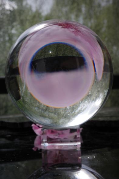 A glass sphere rests on a small glass pedestal on a piece of black glass and subjects this piece, another, a rhododendron blossom and parts of another, as well as parts of the gray sky, a large birch tree and some bushes to a point reflection.
It appears as if there's a second sphere inside this one. This creates a second point reflection. Please also "see" the other alternative texts for more.