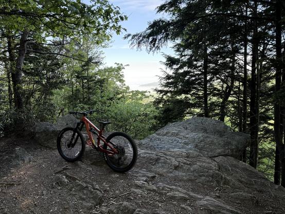 A mountain bike rests on a rocky trail surrounded by lush greenery and trees, with a scenic view in the background.