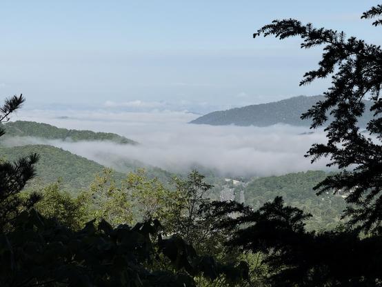 A view of rolling green hills partially shrouded in mist, with a distant mountain range under a clear blue sky. Some trees frame the foreground, and a hint of a road is visible in the lower right.