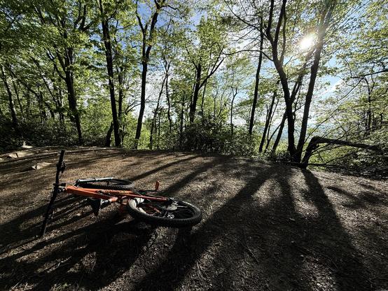 A mountain bike rests on a dirt trail surrounded by lush green trees. The sun filters through the leaves, casting shadows on the ground.