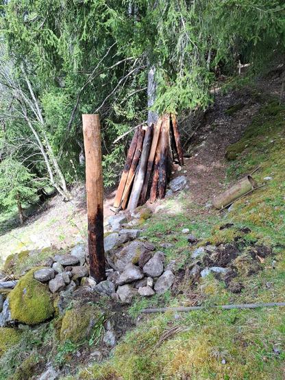 A round larch column is wedged and secured with stones. Further burnt fence posts are leaning against a large spruce tree in the background, set on stony ground in a forest.