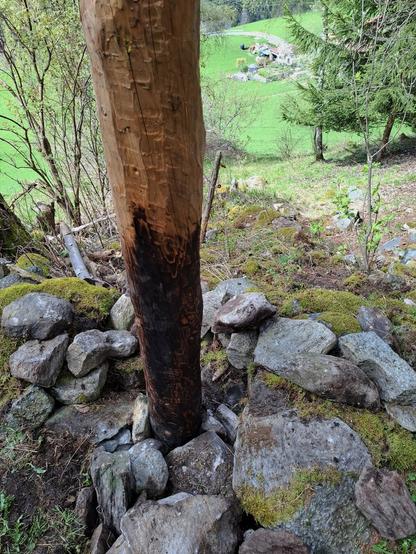 Round larch fence post wedged and fixed with stones.