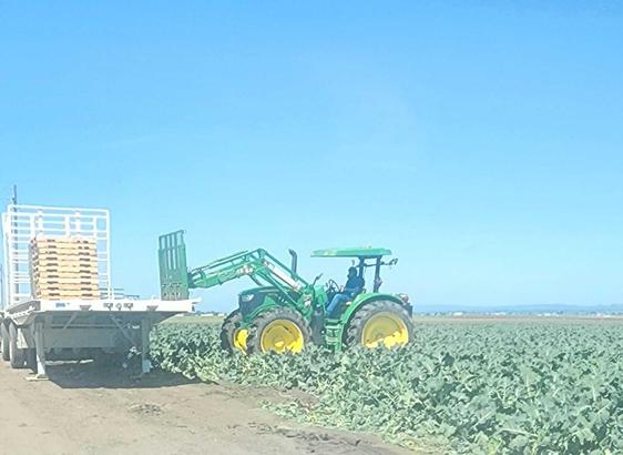 A forklift driver in a field