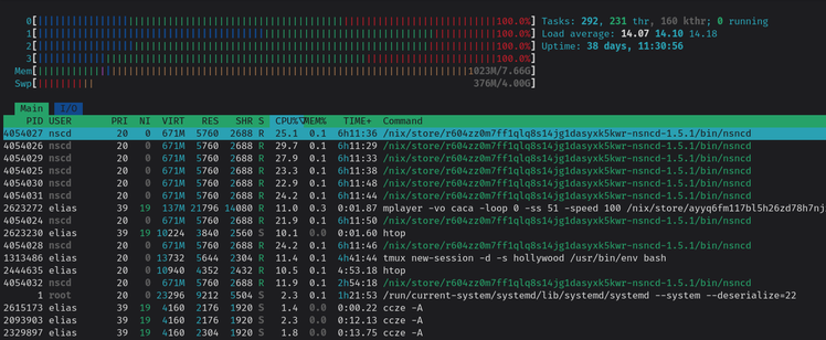 htop showing all cores at 100%. multiple nsncd processes using lots of CPU