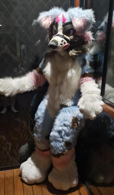 Fursuiter leaning in corner